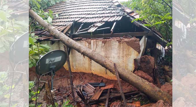 Cyclone Nivar impact: Heavy rains batter Puducherry, trees uprooted