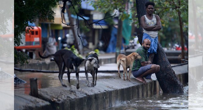 Three killed as cyclone Nivar wreaks havoc in Tamil Nadu