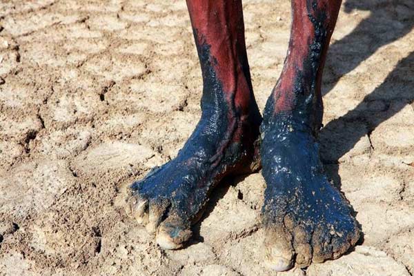 Delhi-based artist to hold art exhibition on depleting nature