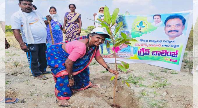 YouTube personality Gangavva sends out green message