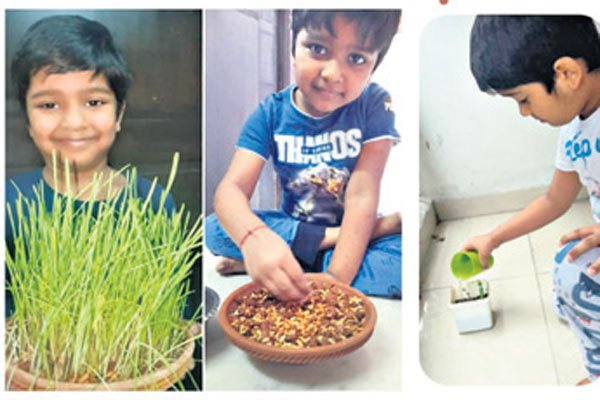 Gitanjali Devashray: Kids take up kitchen gardening