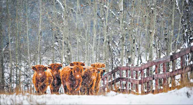 Will ice age return?