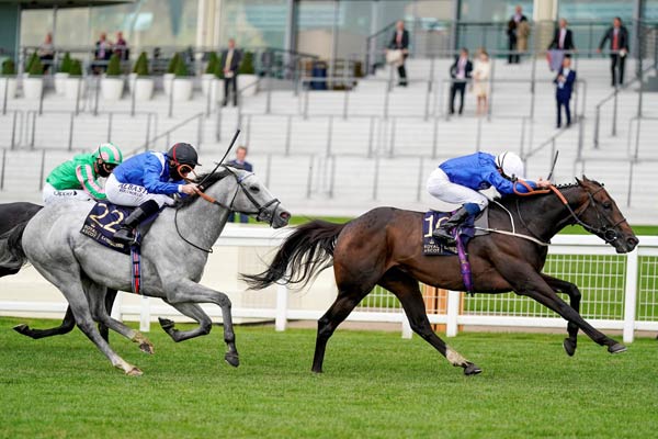 Racing faces bleak outlook as Covid bites deep