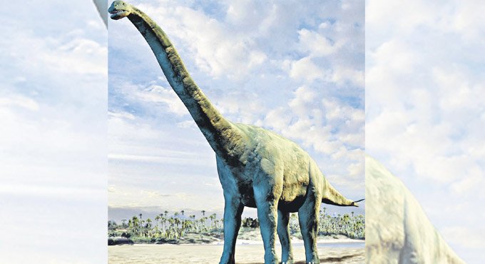 Long-necked Sauropod