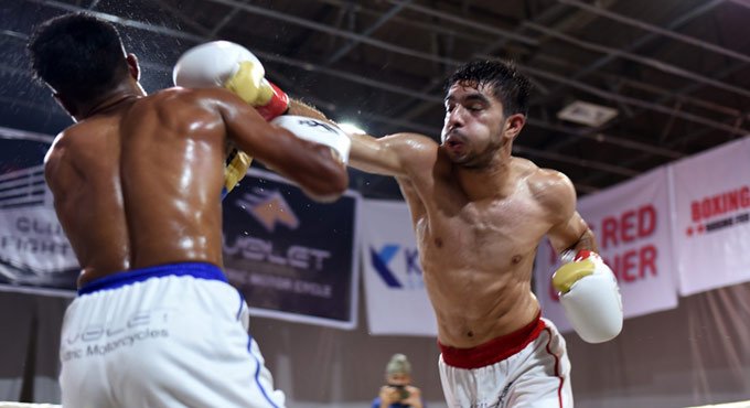 Cub Fights boxing: Gnaneshwar knocks Keshav out