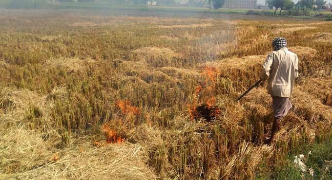 2,000 farmers booked for stubble burning in Uttar Pradesh