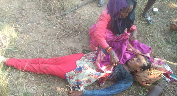 Tiger kills girl in Asifabad, second in three weeks