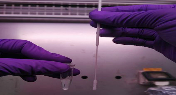 CCMB tech to detect Covid gets ICMR nod