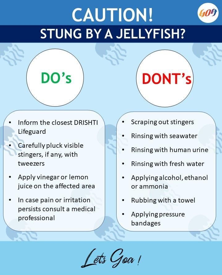 Jellyfish swarms sting Goa beachgoers; advisory issued