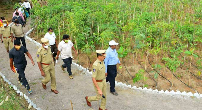 Forest officials visit Miyawaki forest at Karimnagar