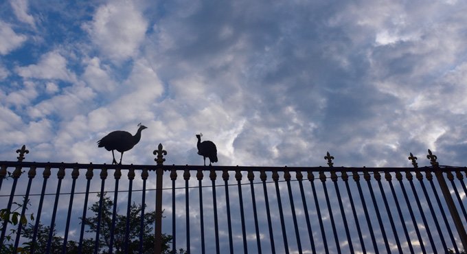 After a break, rains play cameo in Hyderabad