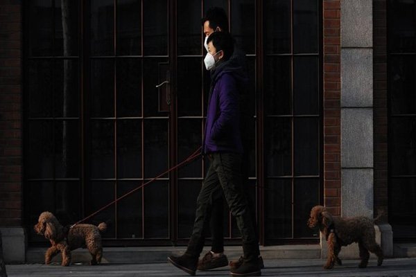 Celebrating a safe Diwali amidst COVID-19 and pollution