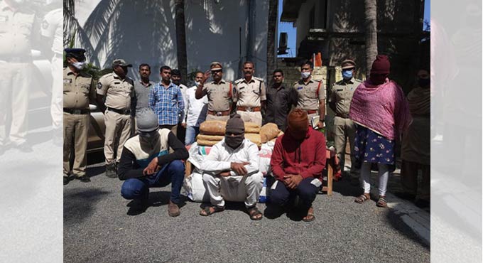 120 kg cannabis seized in Andhra Pradesh’s Krishna, 4 held