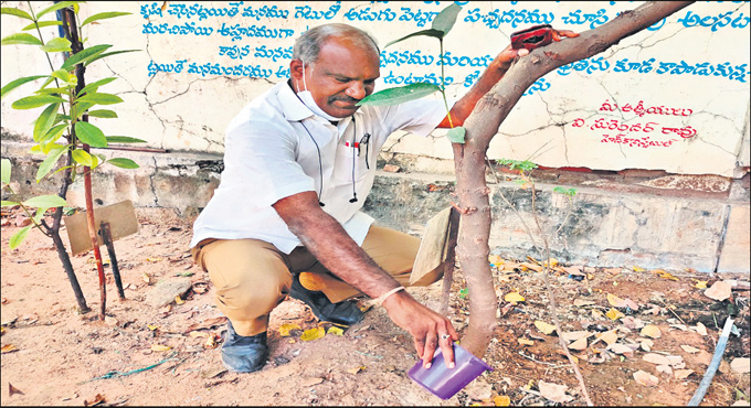 Constable with a green thumb