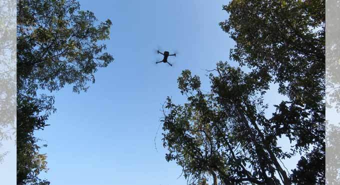 Officials deploy drones to track tiger movements in Kaghaznagar