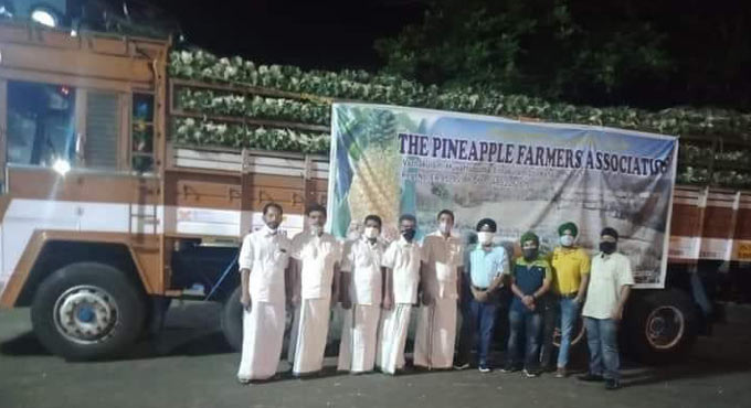 Kerala farmers send truckload of pineapples for protesting ryots