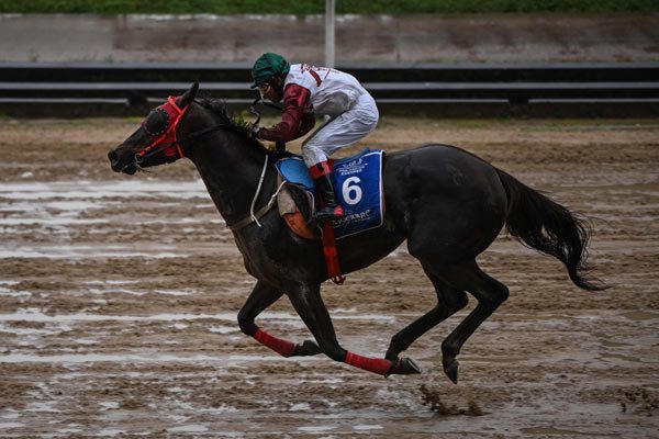 Horse racing