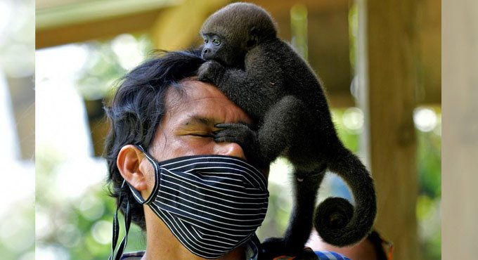 Colombian Amazon