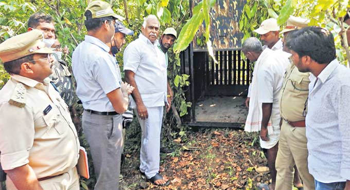 Asifabad: Marksman to be roped in to tranquilise killer tiger