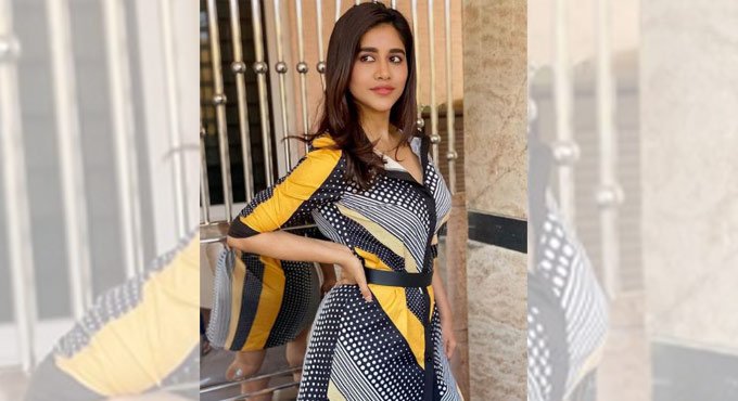 Nabha Natesh's