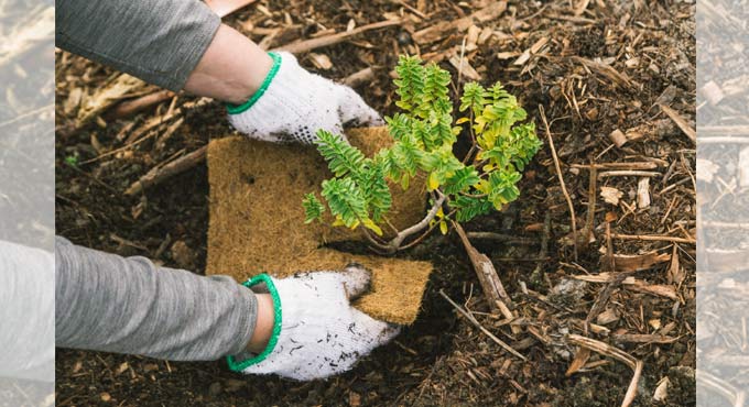 Life New Zealand helps turn 2020 disappointments into hope