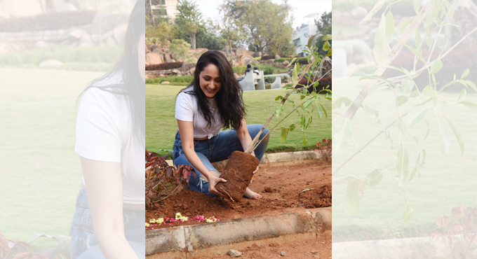 Actor Pragya Jaiswal accepts Green India Challenge