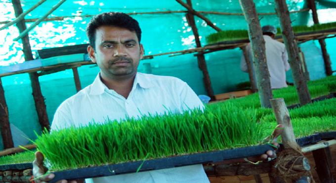 Nirmal’s farmer brings respite to patients of chronic diseases