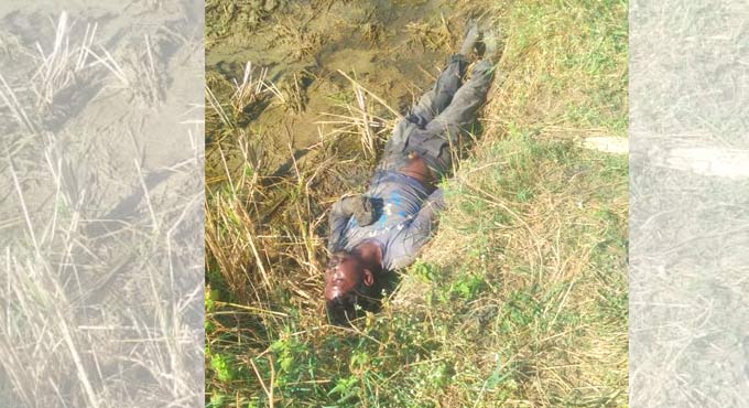 Telangana: Two suspected poachers electrocuted in Nizamabad