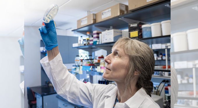 Scientists find novel compound as Covid triggers superbug threat