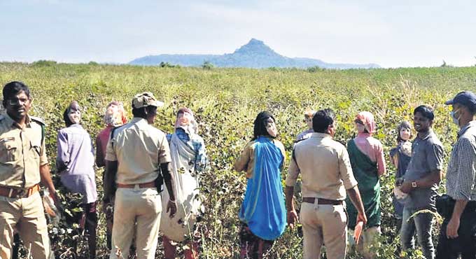 Motorists climb tree to evade tiger attack in Mancherial