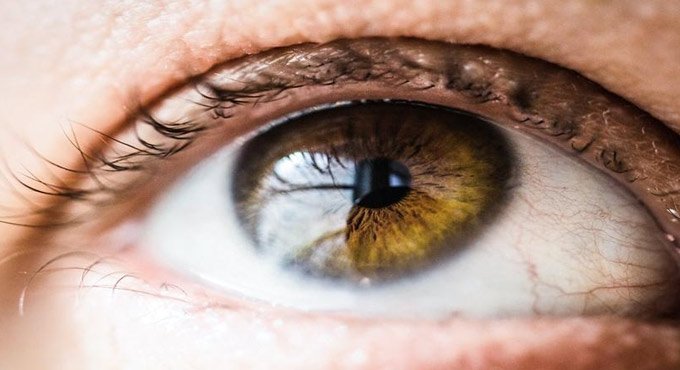 Air pollution may up sight loss risk