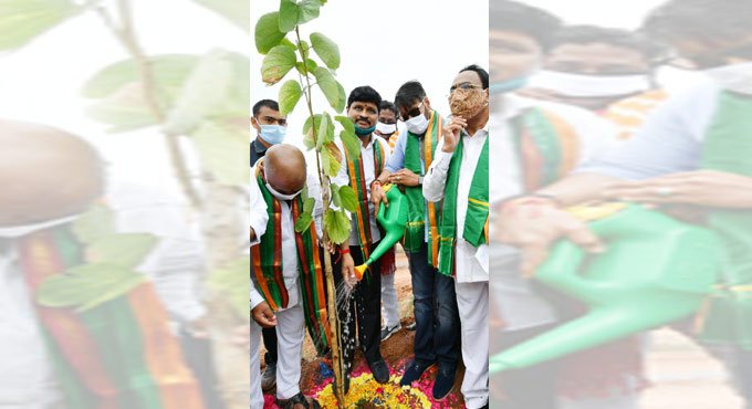 Ajay Devgn goes green