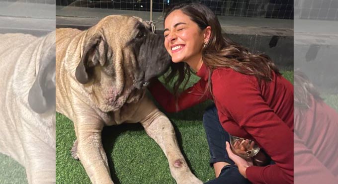 Alia Bhatt captures Ananya Pandey with Ranbir Kapoor’s dog