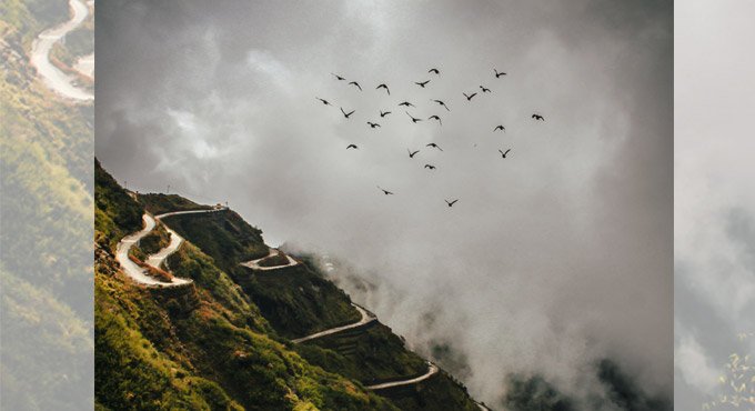 Alien birds threaten Himalayan region