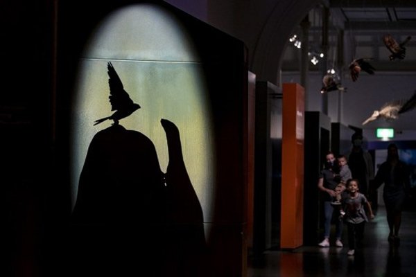 Australia’s oldest museum offers late night entertainment