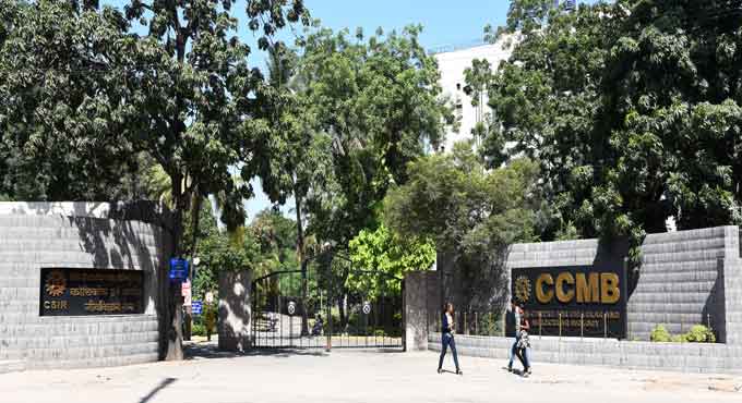 New Covid strains under watch in Indian Institutes