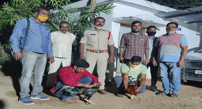Two held for organising cock fights in Mancherial