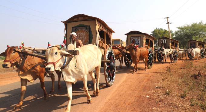 Sangareddy: DDS to launch ‘Patha Pantala Jathara’ on Jan 14