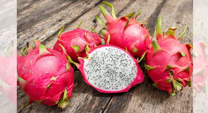 Dragon-Fruit