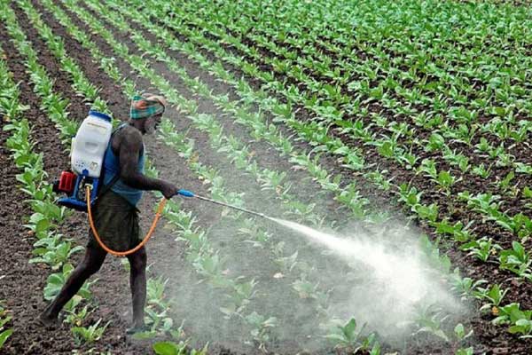 Fertiliser sales volume to spurt 10% to record 68 million tonne in FY21