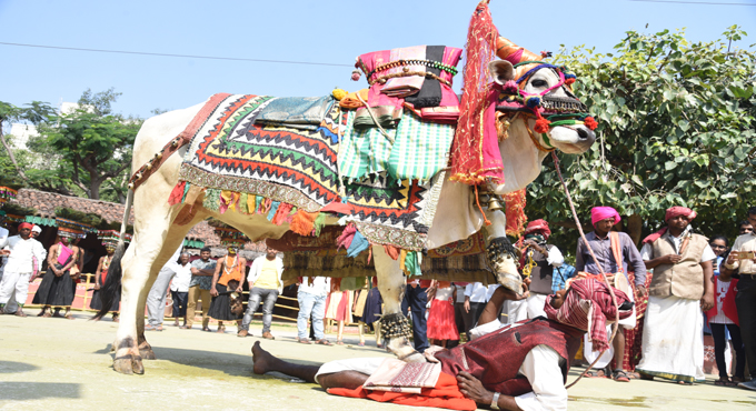 Hyderabad: Shilparamam to hold ‘Sankranti Sandadi’ from Tuesday