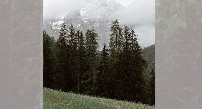 Walk in green spaces to reduce work-related stress