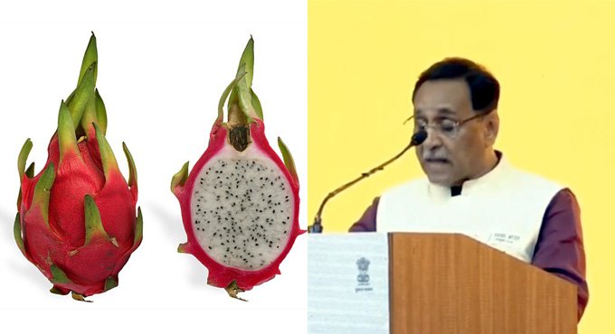 Gujarat govt decides to rename dragon fruit as ‘Kamalam’: CM Rupani