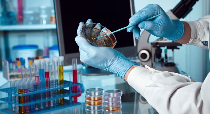 Hyderabad firms capable to take big missions: Vijay Raghavan