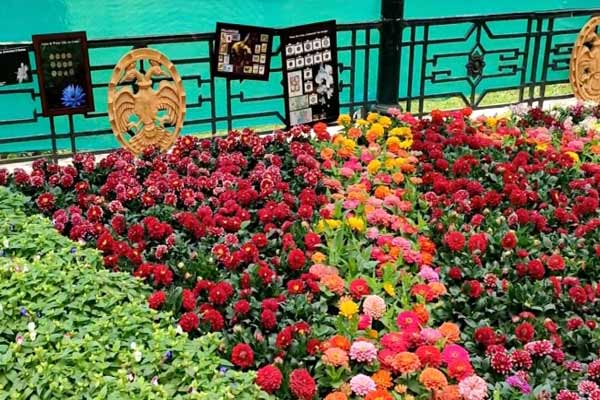 Iconic Bengaluru flower show postponed due to pandemic
