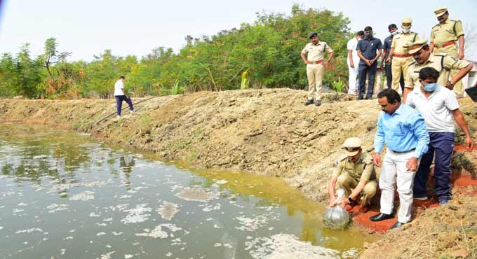 Fishlings dropped in CTC tank in Karimnagar