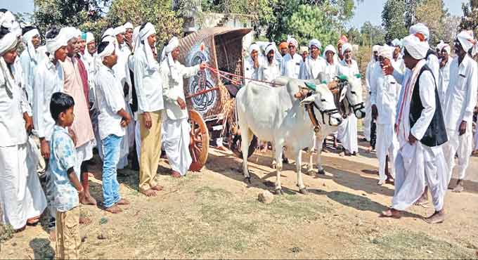 Nagoba Jatara, Keslapur Darbar called off in Adilabad