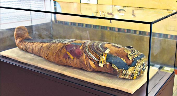 Egyptian mummy in Hyderabad now safe in ‘nitrogen chamber’-Telangana Today