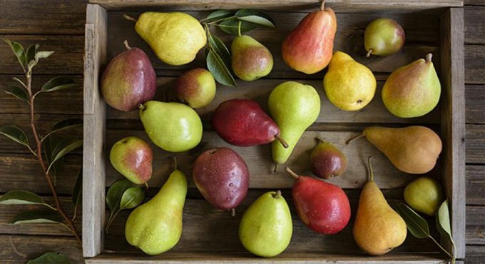 Natural antioxidants can keep heart, cancer diseases at bay