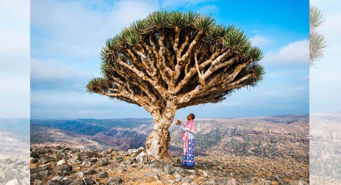 Climate change  top threat to natural World Heritage
